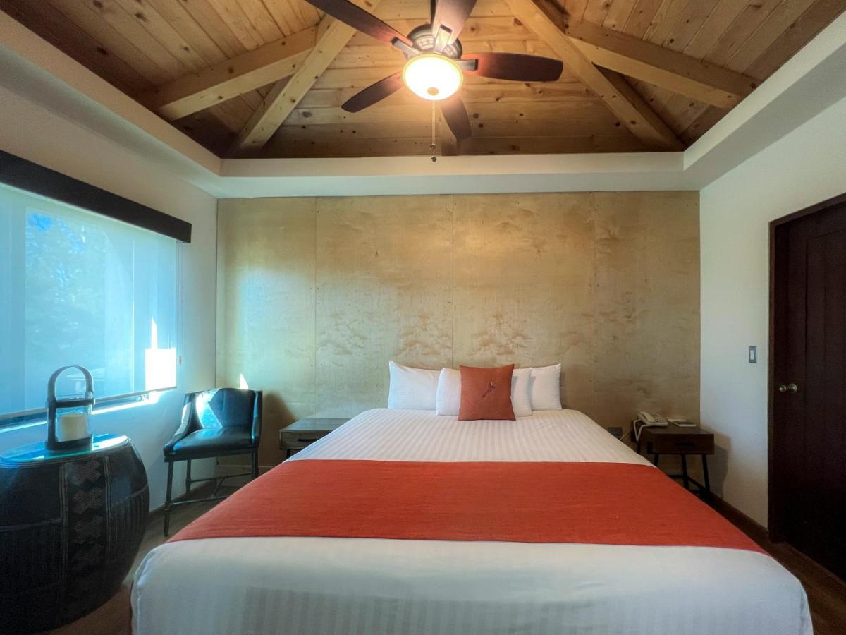Bottega Hotel Boutique Valle de Guadalupe Phòng bức ảnh